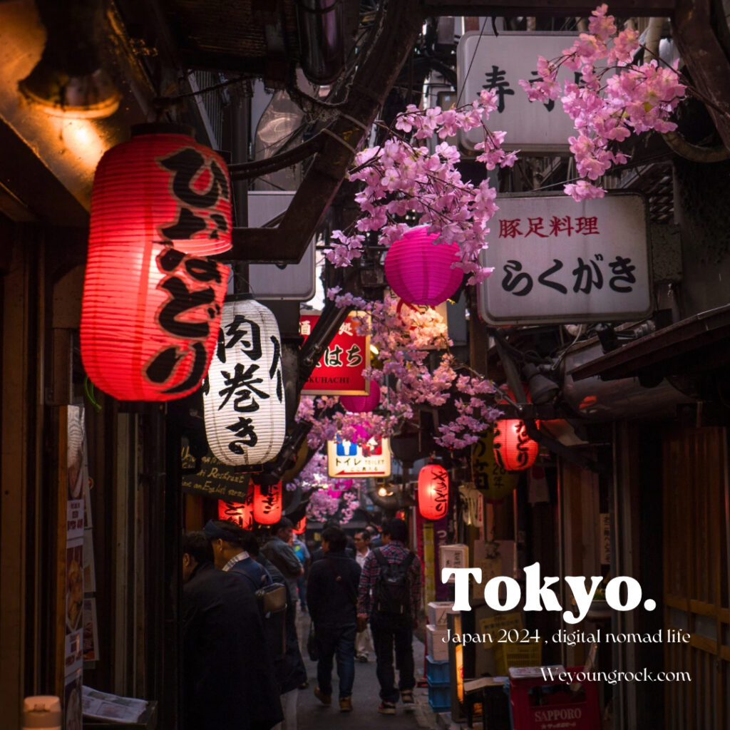 Tokyo trip nomad visa